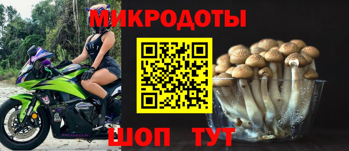 Галлюциногенные грибы Cubensis  Вход с VPN  Псилоцибиновые грибы Psilocybine cubensis  Владикавказ 