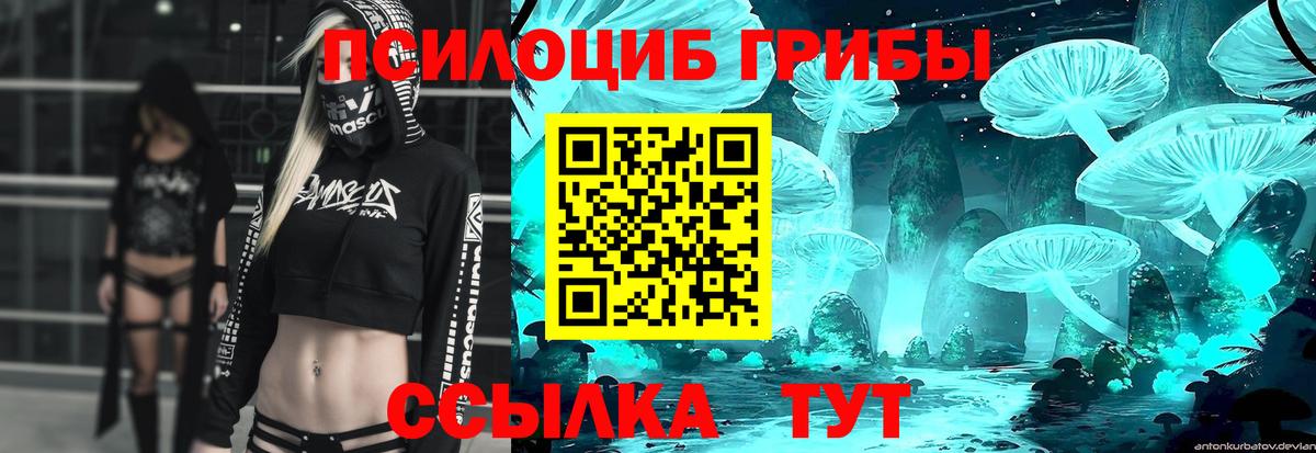 Галлюциногенные грибы MAGIC MUSHROOMS Владикавказ